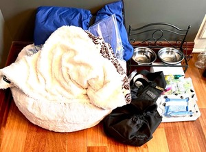 lot 94 image: Comprehensive Pet Care Set with Comfort and Training Accessories