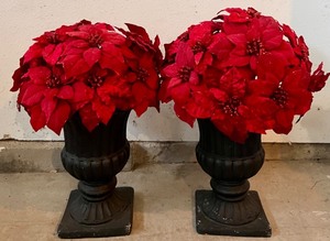 lot 400 image: Set of 2 Decorative Poinsettia Flower Arrangement with Black Urns