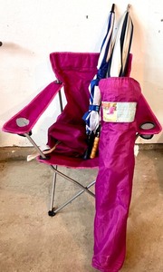 lot 410 image: 2 Embark Captain Chairs with Carry Bags and Two Umbrellas