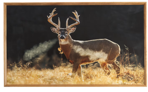 lot 475 image: Open Road Brands Deer in Field Framed Wood Wall Art by Lance Krueger