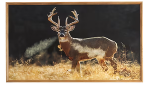 lot 394 image: Open Road Brands Deer in Field Framed Wood Wall Art by Lance Krueger