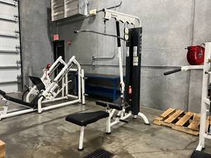 lot A112 image: Matrix Lat Pull Down & Row Machine