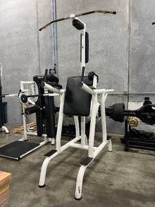 lot A109 image: Matrix Dual Dip & Pull Up Bar Power Tower
