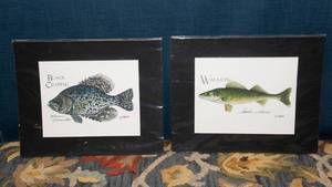 lot 66 image: D. Masselo Signed Fish Art Prints  Set of Two