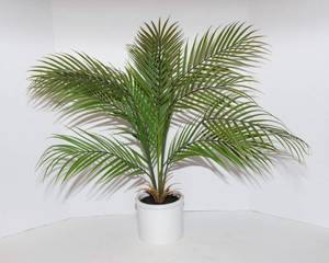 lot 177 image: Faux 31 T Palm Plant