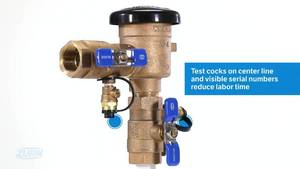 lot 121 image: Wilkins 34 in. 720A Pressure Vacuum Breaker Assembly