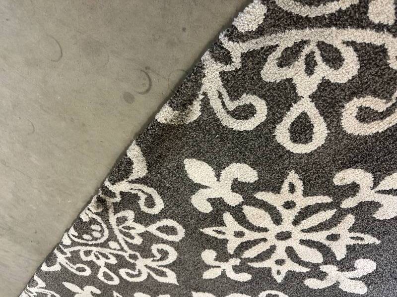 New Display Model allen + roth Caprona 8 x 10 (ft) Woven Polyester