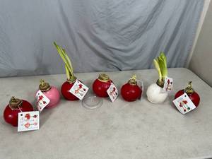 lot 118 image: 7 New Bloomaker Waxed Amaryllis Flowers