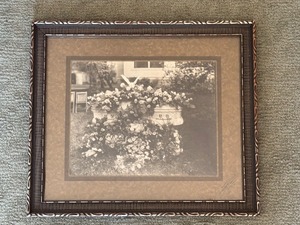 lot 33 image: Framed Antique Black and White Casket Photograph