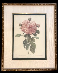 lot 193A image: Vintage Framed Bombay Company, The Rose Framed Print
