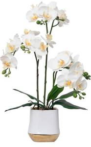 lot 67 image: New Artificial Orchid Flowers Set White Fake Phalaenopsis Flower Faux Butterfly Orchid Real Touch Orchid White $46.00 Retail B
