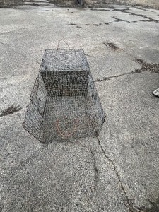 lot 7 image: Small Critter Cage