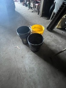lot 22 image: 3    5 gallon Pails