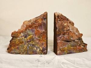 lot 46 image: Petrified Wood Polished Bookends