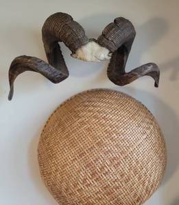 lot 120 image: Real Rams Head Horn Mount
