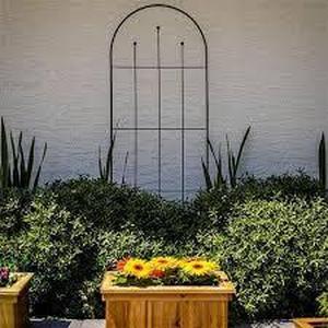 lot 224 image: Metal Trellis - Vigoro 80 in. H Wisteria Black Metal Trellis