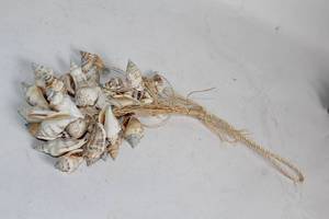 lot 254 image: Decorative Hanging Seashell Garland