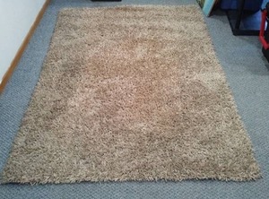lot 574 image: Area Rug, Neural Color, Excellent Condition.