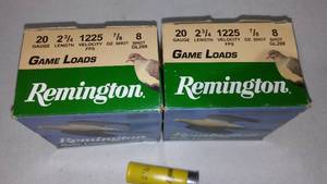 lot 753 image: Remington 20 Gauge Game Loads(2),