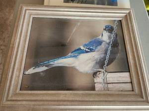 lot 107 image: Framed Art