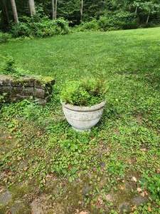 lot 141 image: Outdoor Decor