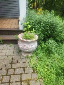 lot 143 image: Outdoor Decor 2