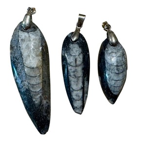 lot 17J image: Three Orthoceras Pendants