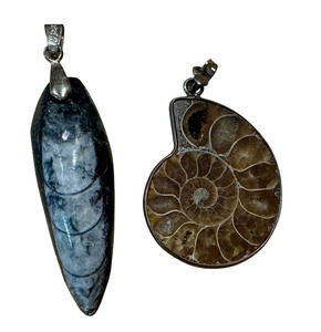 lot 30J image: Orthoceras and Ammonite Fossil Pendants