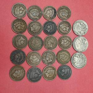 lot 342 image: 20 Indianhead Cents and 3 Buffalo Nickels