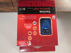 lot 22 image: 8G Sandisk
