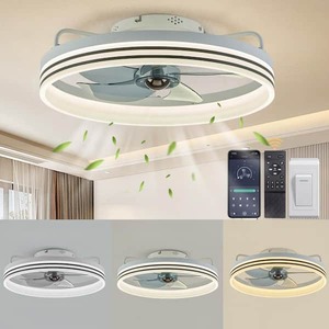 lot 50 image: FANNEHONNE 20 in. Indoor White LED Indoor Ceiling Fan with Light Remote for Small Room