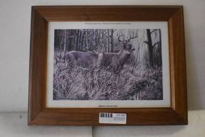 lot 38 image: White Tails at Crooked Creek