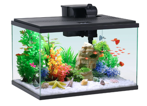 lot 613 image: Aqua Culture 10-Gallon Glass Aquarium Starter Kit