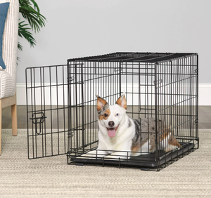 lot 617 image: Vibrant Life Single Door Folding Metal Wire Dog Crate with Divider and Tray, Black, 30