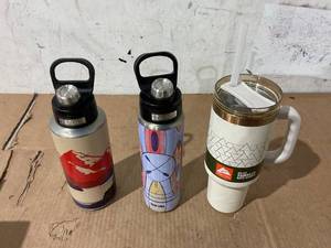 lot 284 image: LOT of 3 Miscellaneous Stainless Water Bottles