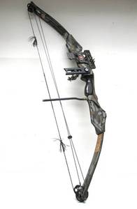 lot 173 image: PSE Trebark Compound Bow