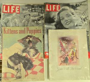lot 249 image: Collection of Vintage Life and Journal Magazines