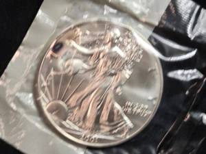 lot 61 image: 2001 Silver American Eagle Coin