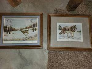 lot 207 image: Framed Wildlife and Nature Art Set