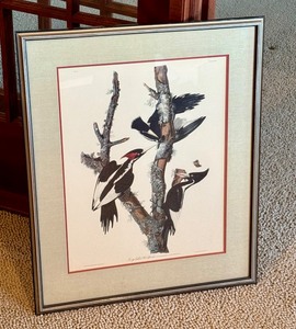 lot 17 image: Vintage Engraving Colored Print by R. Hawell  Vintage Engraving Ivory Billed Woodpecker