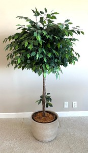 lot 98 image: Fine Faux Tree