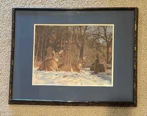 lot 249 image: Deer Resting in Snow Print by Les Blacklock