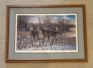 lot 252 image: Oak Ridge Monarch White Tail Deer Limited Edition Signed Print by Michael Sieve