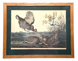 lot 28C image: Vintage Framed Audubon Lithograph Pinnated Grous