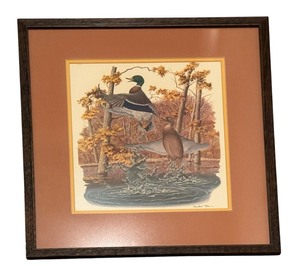 lot 29C image: Vintage Framed Mallard Duck Print by Richard Sloan