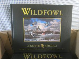 lot 95 image: (F-3) Box of 10 New Wildfowl of Nor...