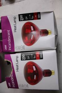 lot 274 image: Set of 2 Red 250-Watt Incandescent Heat Lamps