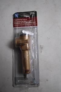 lot 307 image: 34 T&P Relief Valve by Cash Acme