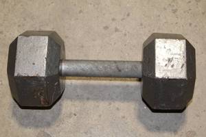 lot 190 image: Used 30 lb Hex Dumbbell for Strength Training