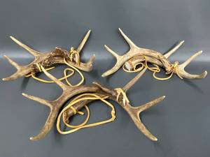 3 Deer Rattling Antler Sets